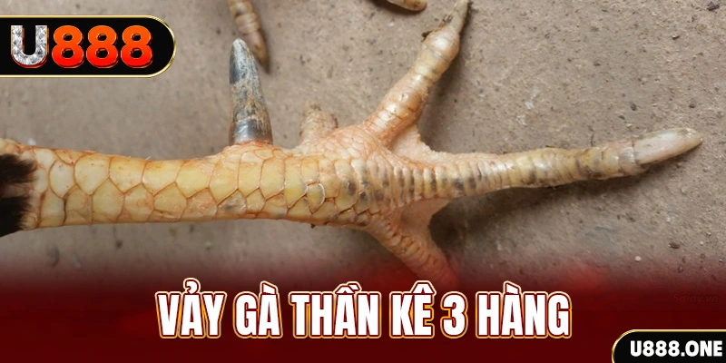 bong 88 nổ hũ đổi thưởng . ai