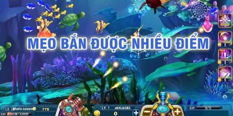 bong 88 đá gà