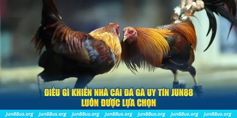 bong 88 bắn cá 30