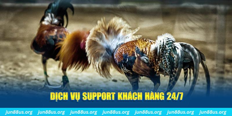 bong 88 Xóc Đĩa