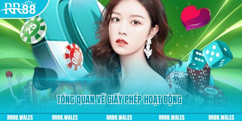 bong 88 kết quả xổ số kiến thiết miền bắc