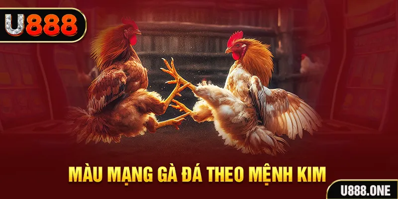 bong 88 gà chọi tiêu phong