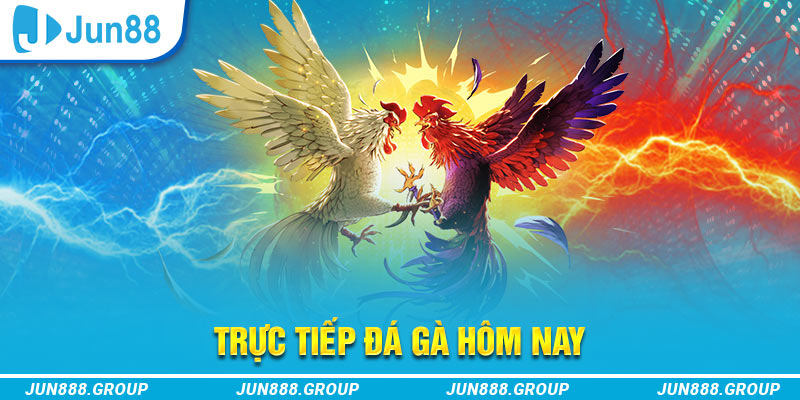 bong 88 68 game bài máy chủ ở đâu