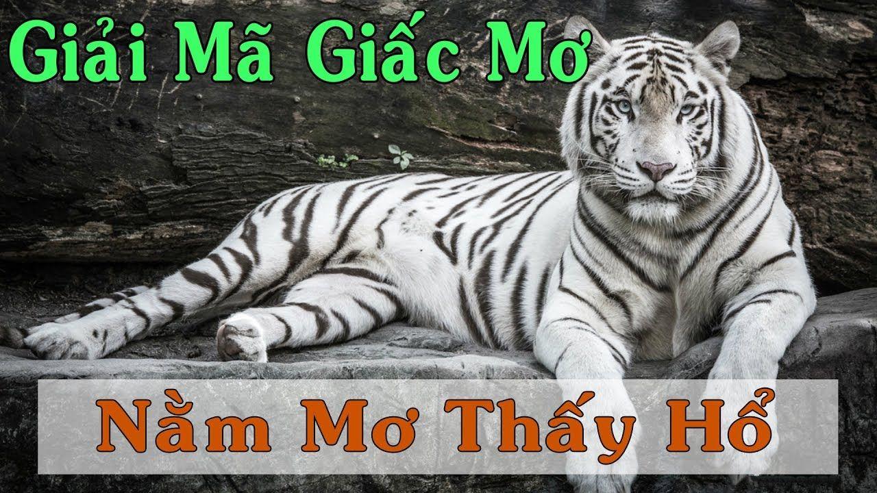 bong 88 xổ số miền trung