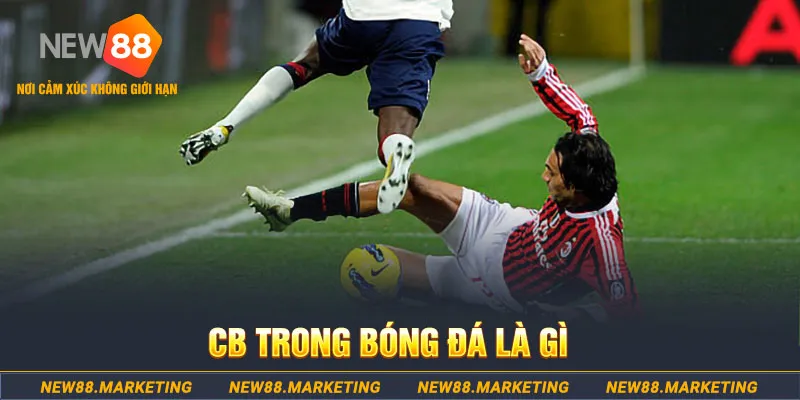 bong 88 gà chọi c1 gold city