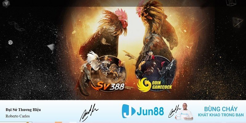 bong 88 xổ số miền nam hàng tuần