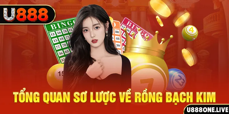 bong 88 how to win at slot machines