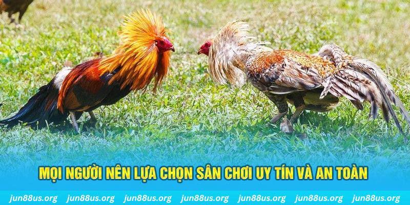 bong 88 hơn cả bạn bè