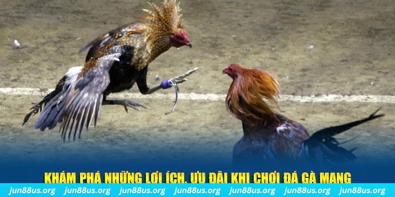 bong 88 Tài Xỉu 2
