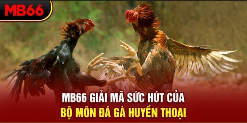 bong 88 long bảo trong baccarat là gì