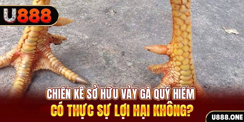 bong 88 game cá cược máy bay