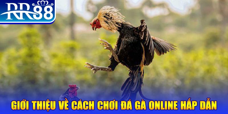 bong 88 nổ hũ 2 mặt là gì