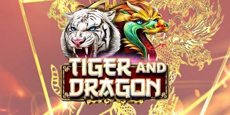 bong 88 cá cược tiếng anh là gì