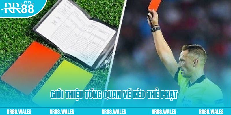 bong 88 đá gà trực tiếp c1